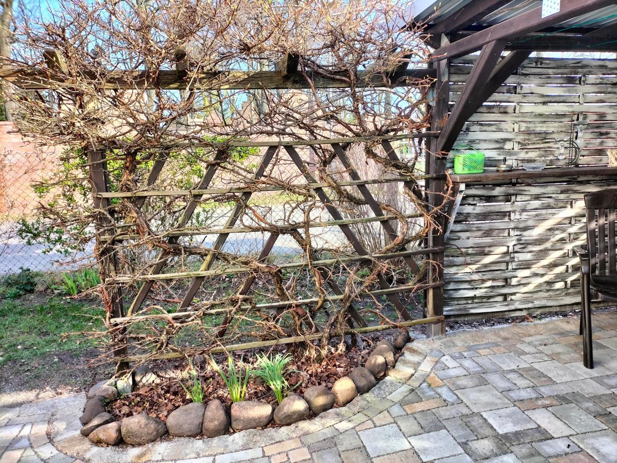 Pension Rosenvilla Sedlitz 외부 사진
