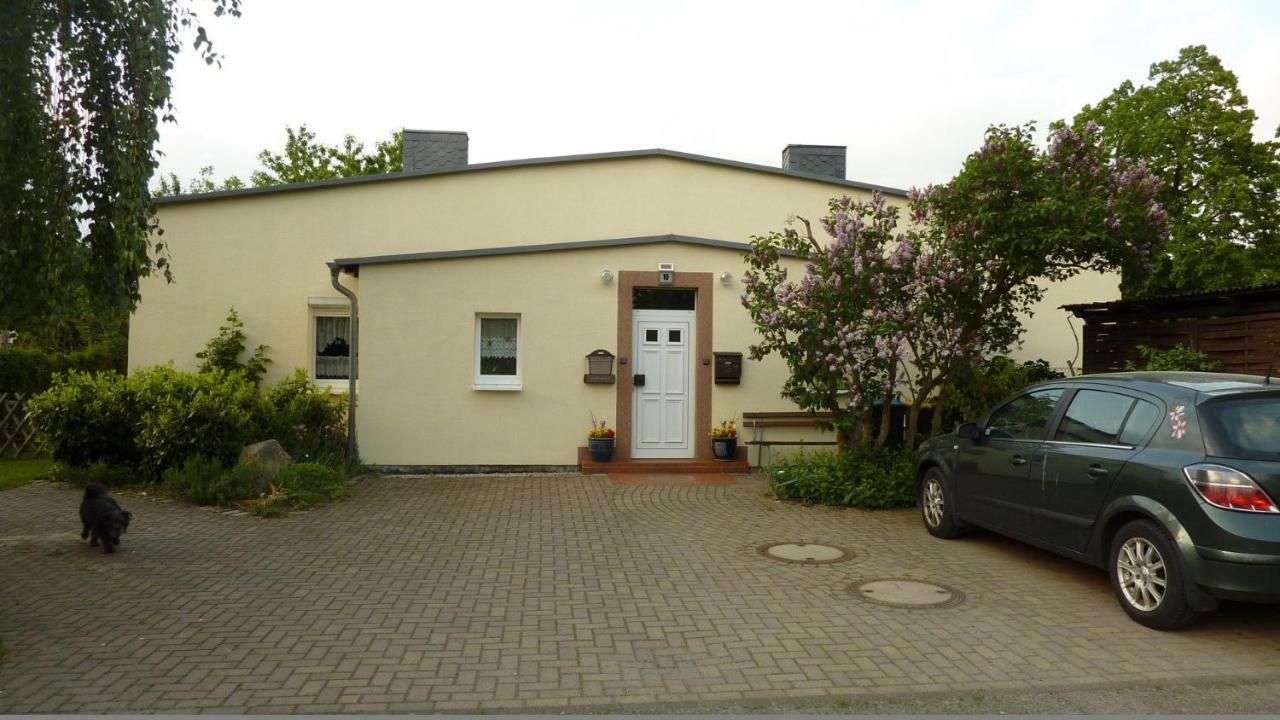 Pension Rosenvilla Sedlitz 외부 사진